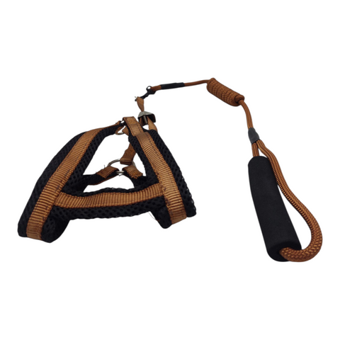 Dog Leash Small  PC 141