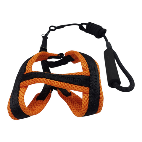 Dog Leash Small  PC 141