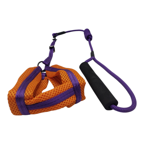 Dog Leash Small  PC 141