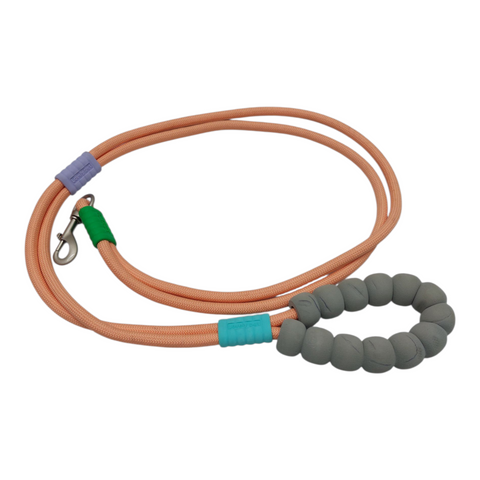 Dog Leash Medium PC 142