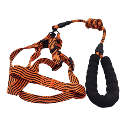 Dog Leash Medium  PC 143