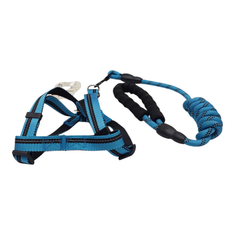 Dog Leash Medium  PC 143
