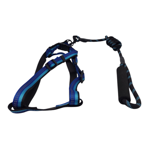 Dog Leash Medium  PC 143