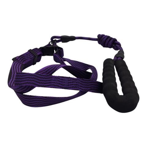 Dog Leash Medium  PC 143