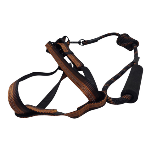 Dog Leash Medium  PC 143