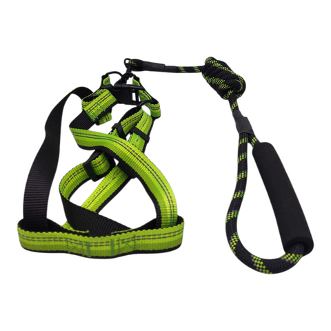 Dog Leash Medium  PC 143