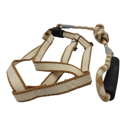 Dog Leash Medium  PC 143