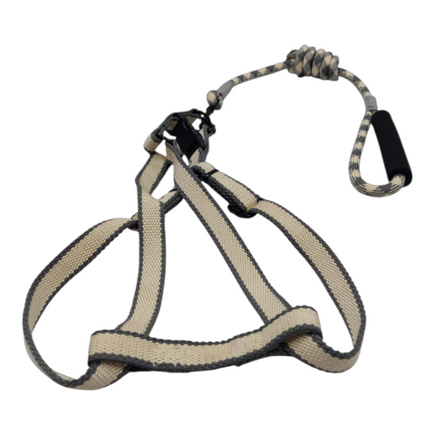 Dog Leash Meduim PC 205