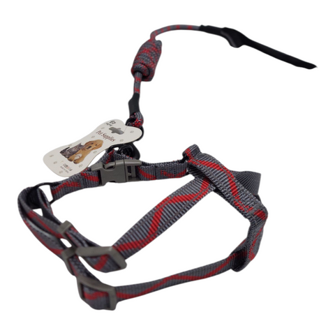 Dog Leash Meduim PC 205