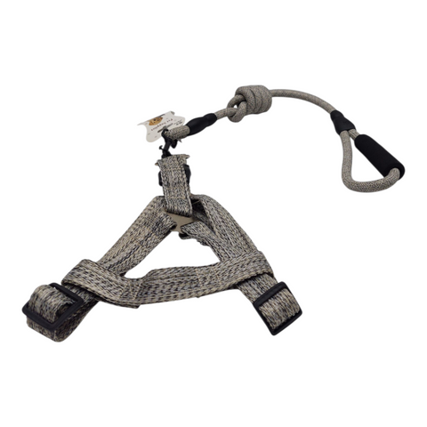 Dog Leash Meduim PC 205