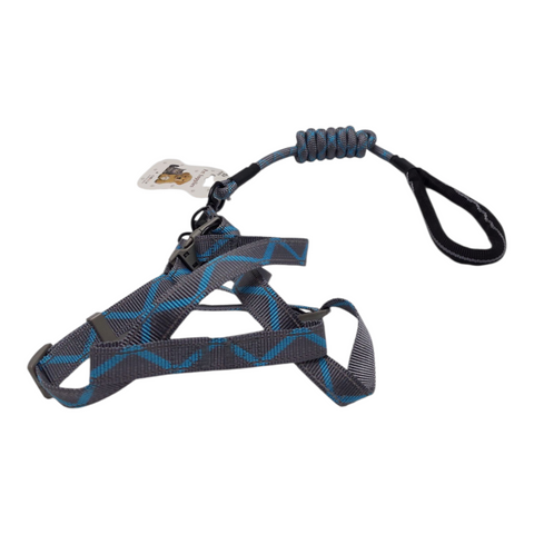 Dog Leash Meduim PC 205