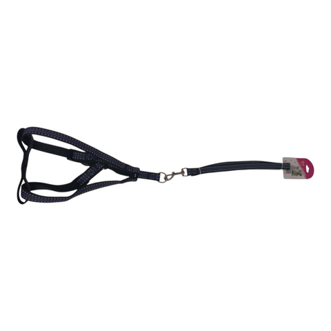 Dog Leash Medium PC 426