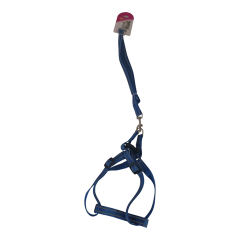 Dog Leash Medium PC 426