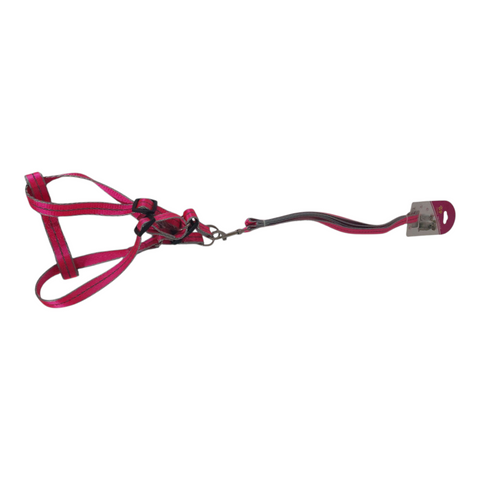 Dog Leash Medium PC 426