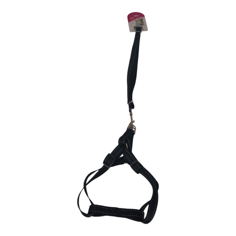 Dog Leash Medium PC 426