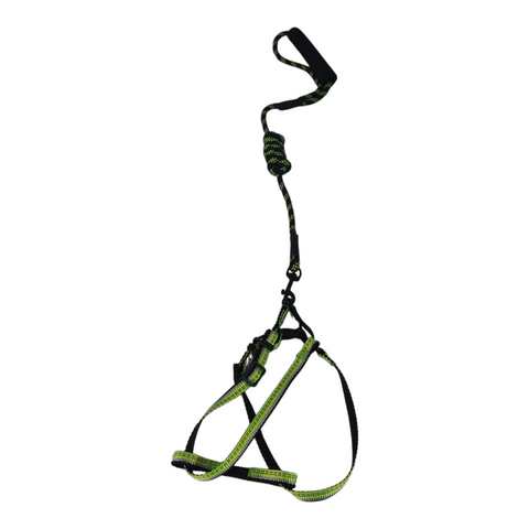 Dog Small Leash with Rubber Handles PC 428