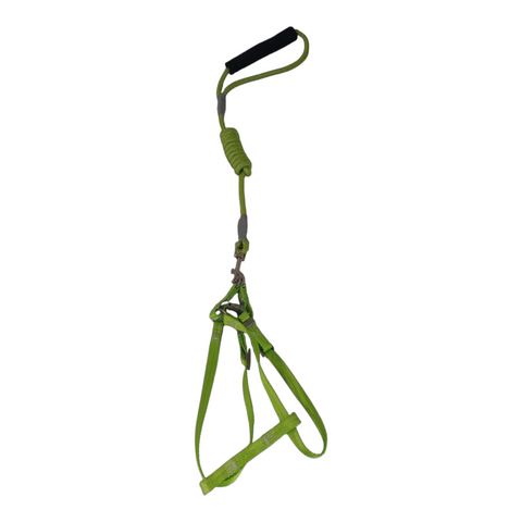 Dog Small Leash with Rubber Handles PC 428