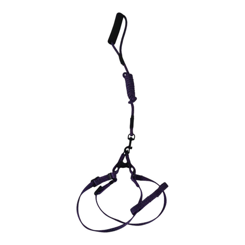 Dog Small Leash with Rubber Handles PC 428