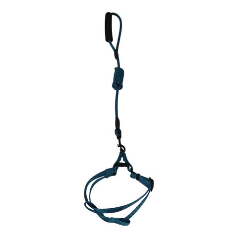 Dog Small Leash with Rubber Handles PC 428