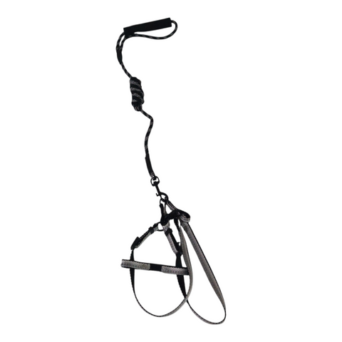 Dog Small Leash with Rubber Handles PC 428