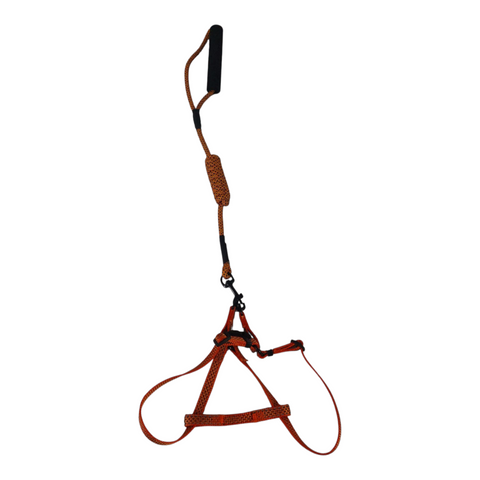 Dog Small Leash with Rubber Handles PC 428