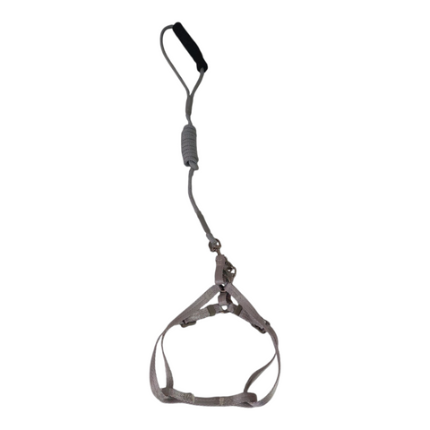 Dog Small Leash with Rubber Handles PC 428