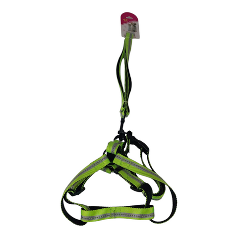 Dog Leash Medium PC 431