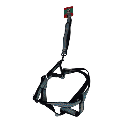 Dog Leash Medium PC 431