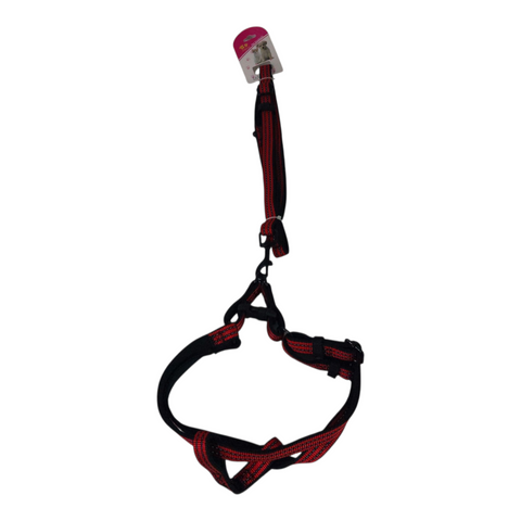 Dog Leash Medium PC 431