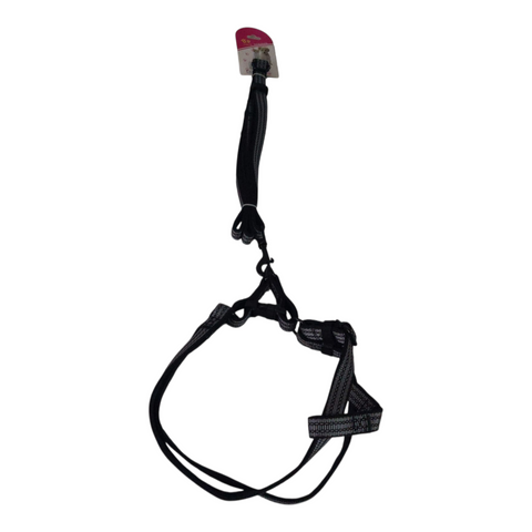 Dog Leash Medium PC 431