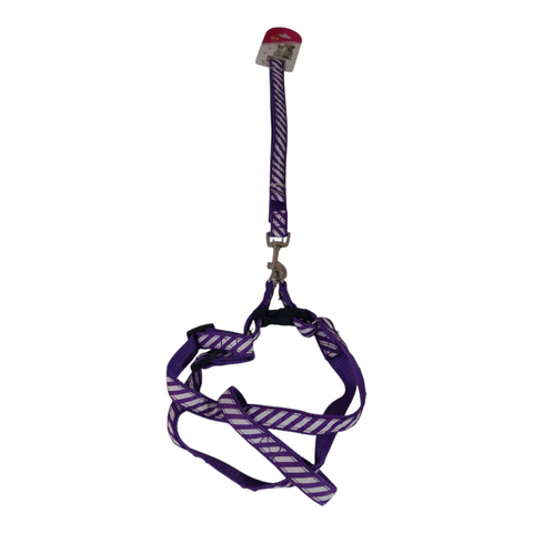 Dog Leash Medium PC 431
