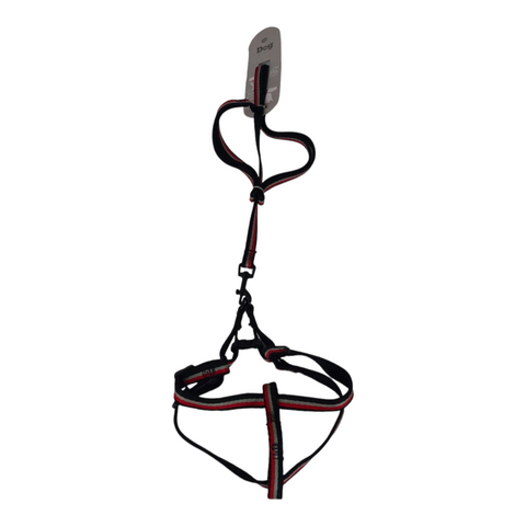 Dog Leash Small PC 436