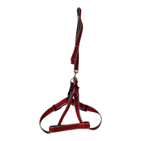 Dog Leash Medium  PC 437