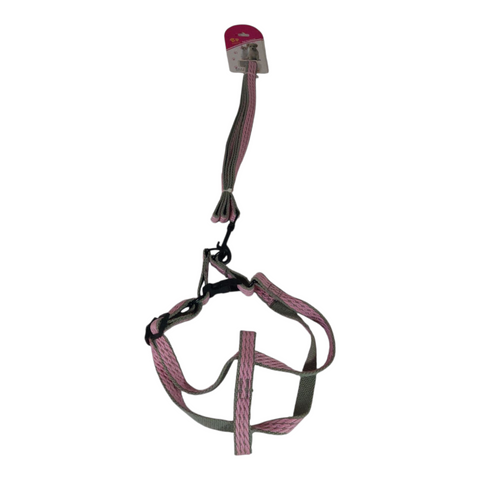 Dog Leash Medium  PC 437