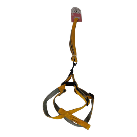 Dog Leash Medium  PC 437