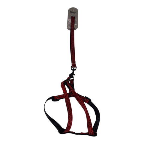 Dog Leash Medium  PC 437