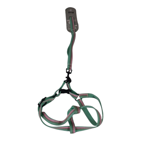 Dog Leash Medium  PC 437