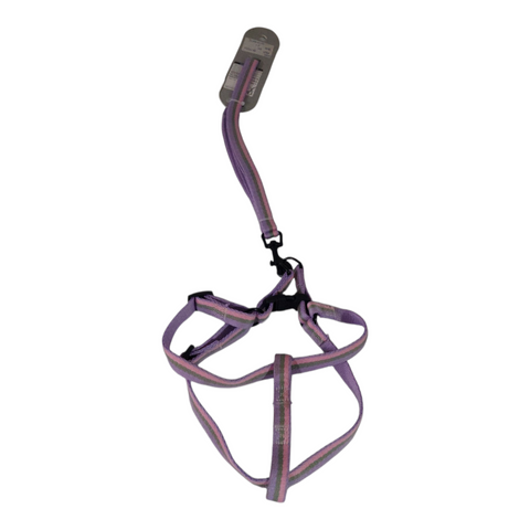 Dog Leash Medium  PC 437