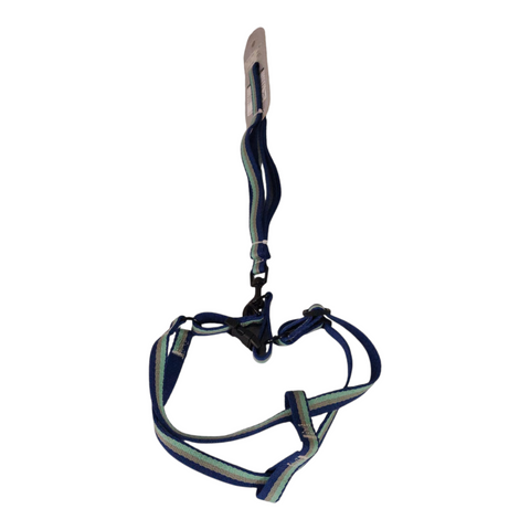 Dog Leash Medium  PC 437