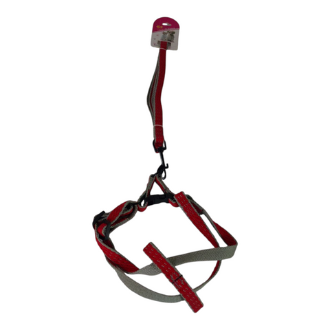 Dog Leash Medium  PC 437