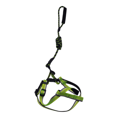 Dog Medium Leash PC 438