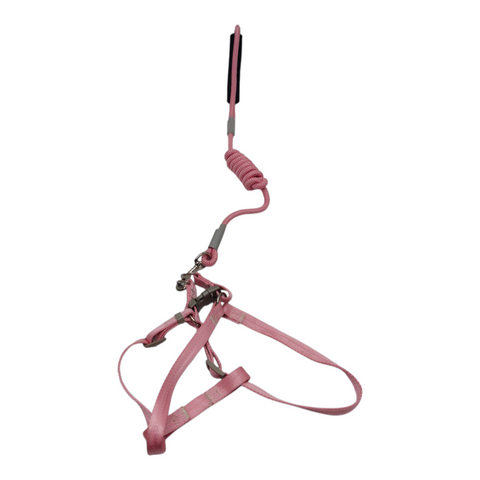 Dog Medium Leash PC 438