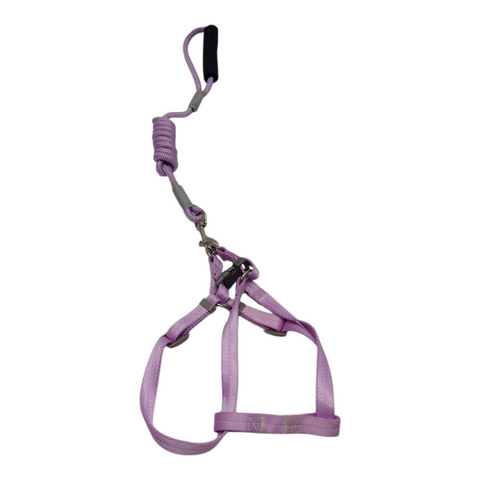 Dog Medium Leash PC 438