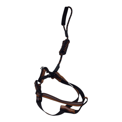 Dog Medium Leash PC 438