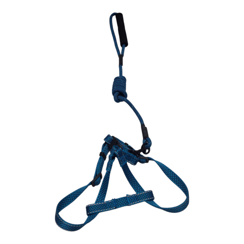 Dog Medium Leash PC 438