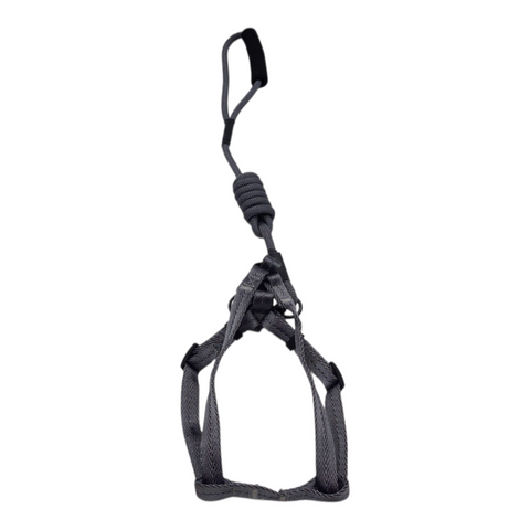 Dog Medium Leash PC 438