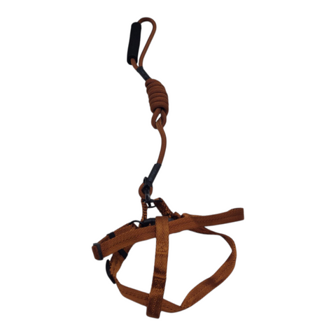 Dog Medium Leash PC 438