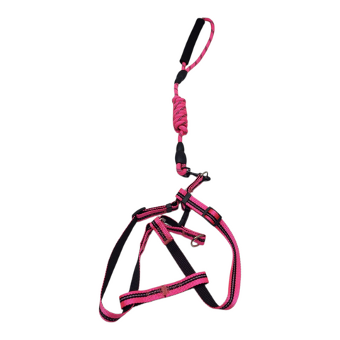 Dog Medium Leash PC 438