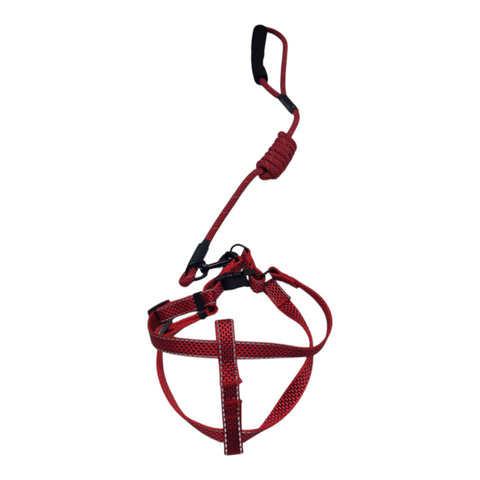 Dog Medium Leash PC 438