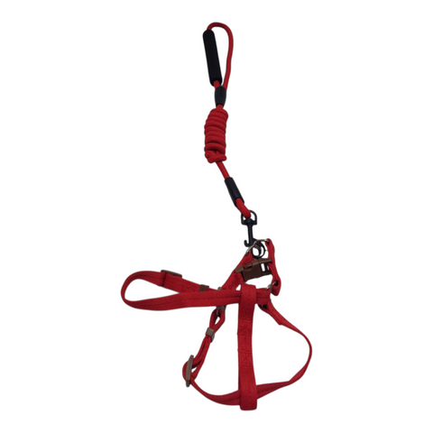 Dog Medium Leash PC 438